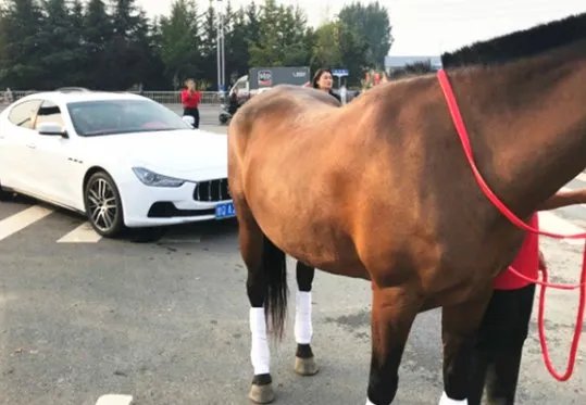 如何看待真马撞上玛莎拉蒂后，玛莎拉蒂司机的做法呢？