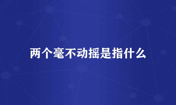 两个毫不动摇是指什么