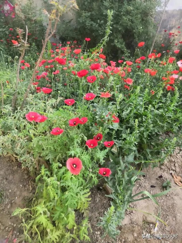 山东高一什么时候开学?