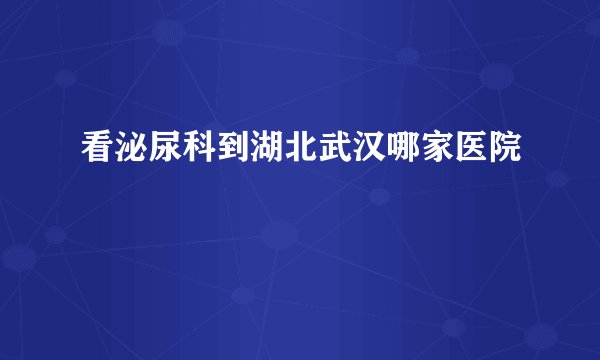 看泌尿科到湖北武汉哪家医院