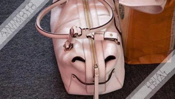 2012年春晚为什么奇怪?