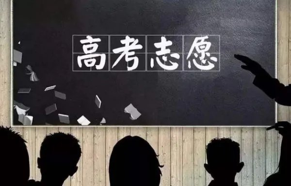 填志愿的是哪个网址？