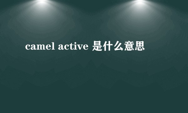 camel active 是什么意思