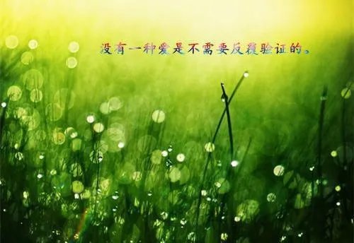 我的杀手姐姐们小说 叶寻叶灵珊叶佳琪全章节阅读