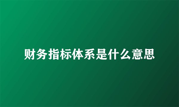 财务指标体系是什么意思