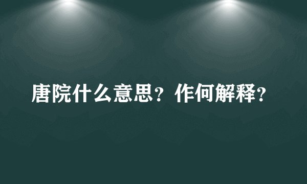 唐院什么意思?作何解释?