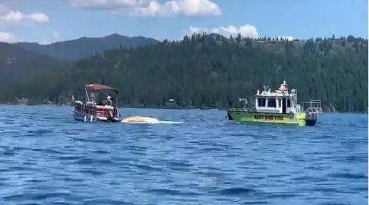 两架飞机在美国上空相撞后坠湖，潜水队称装备不足下潜深度，结果如何？