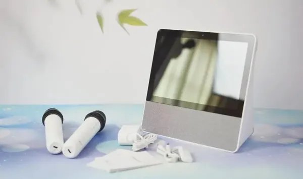 添添T10的语音识别和智能控制表现怎么样？值得入手吗？