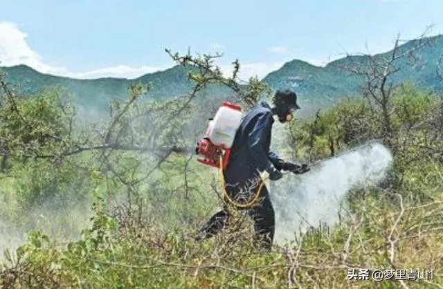 巴基斯坦蝗灾怎么样了？最近怎么感觉没人提及？