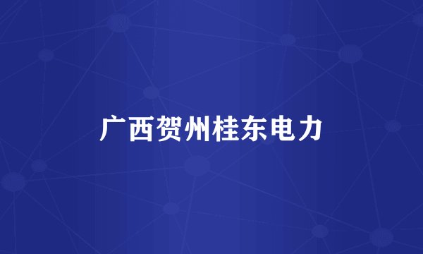 广西贺州桂东电力