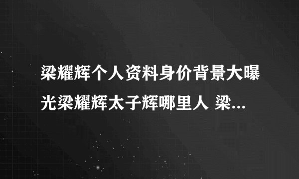 梁耀辉个人资料身价背景大曝光梁耀辉太子辉哪里人 梁耀辉老婆是谁