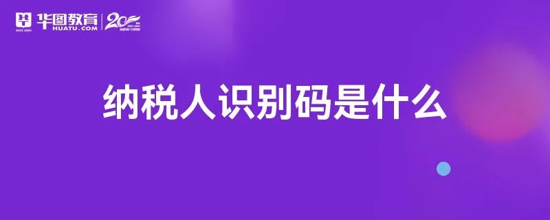 纳税人识别码是什么
