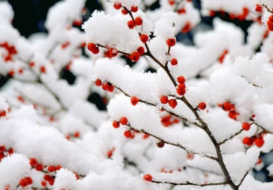 三九四九冰上走，什么意思？