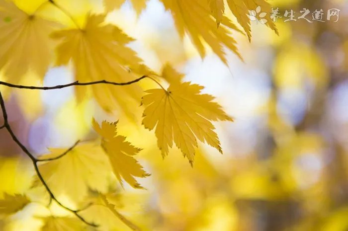 首都机场突降冰雹 冰雹天气的安全注意事项