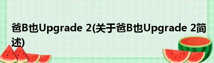 爸B也Upgrade 2(关于爸B也Upgrade 2简述)