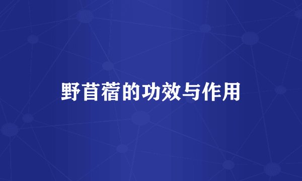 野苜蓿的功效与作用