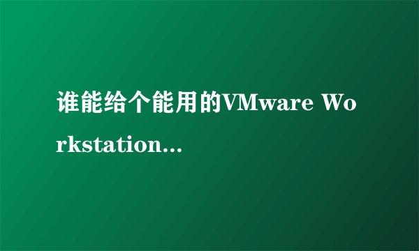 谁能给个能用的VMware Workstation7.1.3 Build 324285 序列号！急急急！！！！