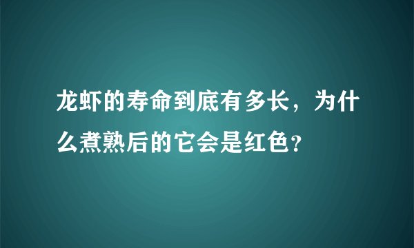 龙虾的寿命到底有多长，为什么煮熟后的它会是红色？