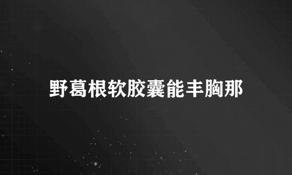 野葛根软胶囊能丰胸那