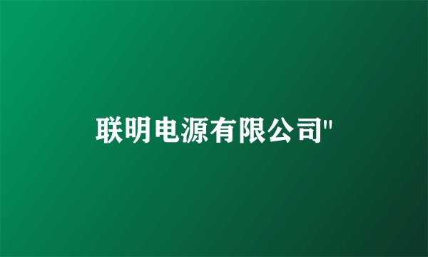 联明电源有限公司