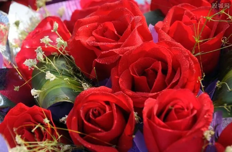 七夕玫瑰花多少钱一朵 情人节鲜花一般什么价？