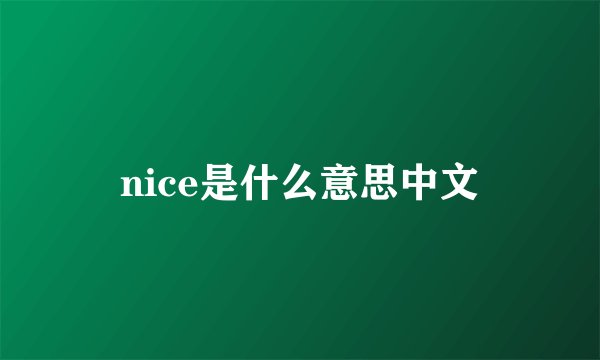 nice是什么意思中文