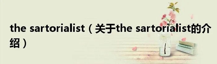 the sartorialist（关于the sartorialist的介绍）