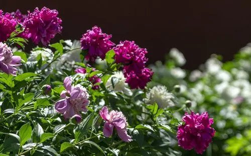 国内各地区五一旅游热门景点排行 国内五一旅游最佳去处推荐