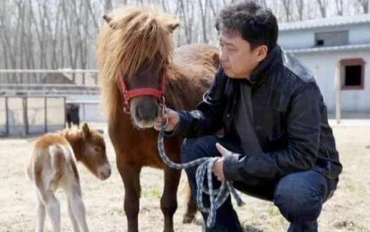 于谦三大爱好是真的吗