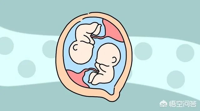 怀了双胞胎，他们会在妈妈肚子里打架吗？