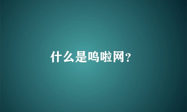 什么是呜啦网？