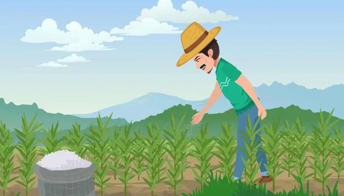 十大复合肥品牌排行榜