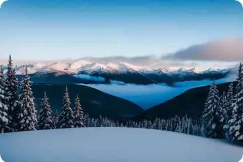 北京涉外专修学院