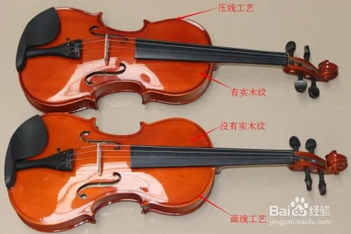 如何选购小提琴？初学者怎样选择小提琴？