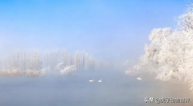 新手如何学习摄影？