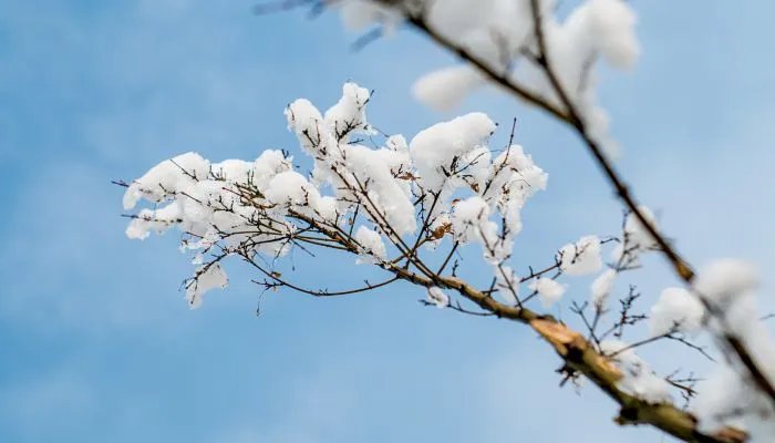 2021冬至祝福语句简短唯美 2021冬至的美好寓意祝福语