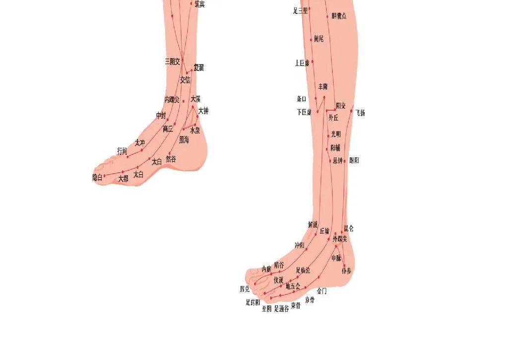 人体经络示意图
