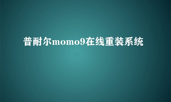 普耐尔momo9在线重装系统