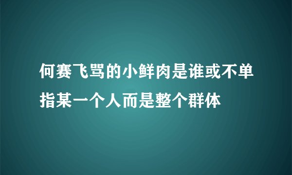 何赛飞骂的小鲜肉是谁或不单指某一个人而是整个群体