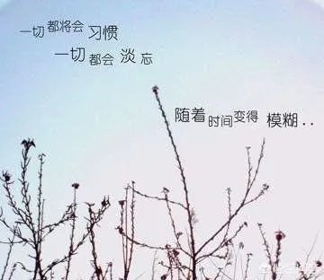 简奥斯丁写了世人羡慕的爱情作品，自己却孤独终老，是遗憾吗？