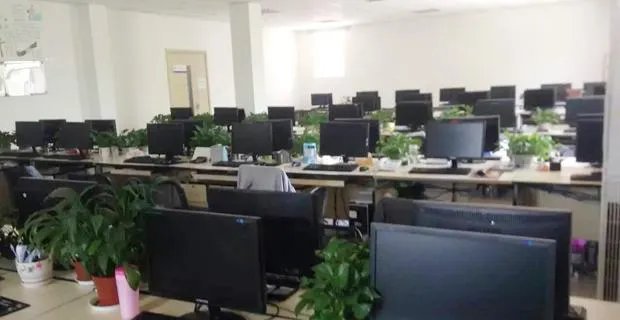 网站快速排名可靠吗？