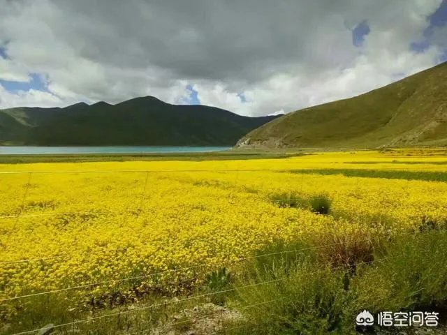 想去拉萨玩，有什么要注意的吗？