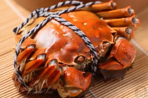 天津阳澄湖大闸蟹哪里有