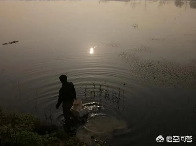 有人说现在全国各地都在扩养小龙虾，现在入市还来得及吗？