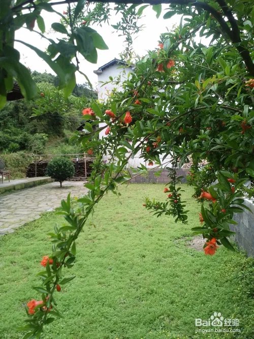 五格数理起名的运用