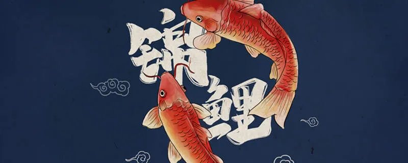 锦鲤是什么梗