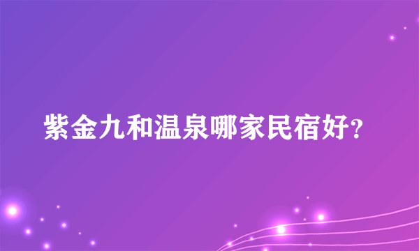 紫金九和温泉哪家民宿好？