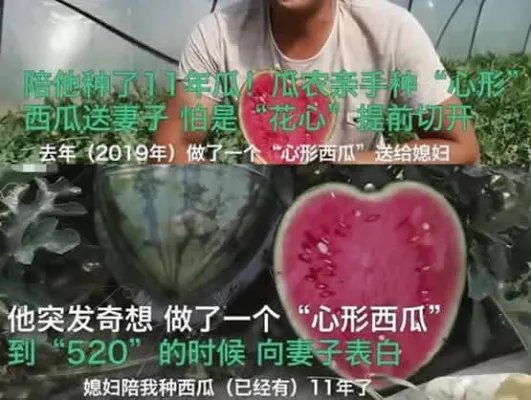 2020520是表白日：有朋友圈告白文案,有心形西瓜赠爱妻