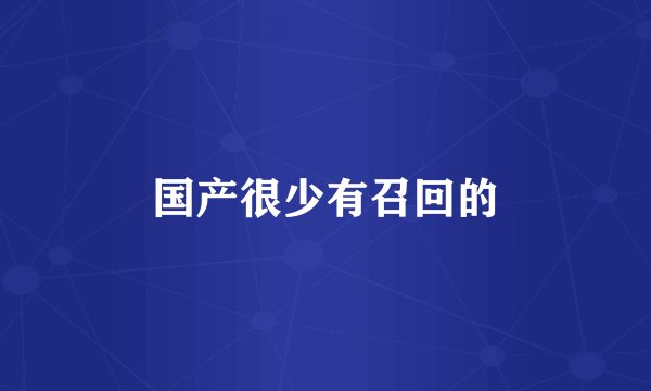 国产很少有召回的