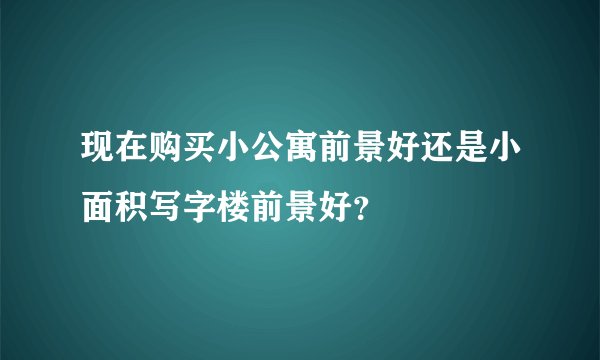 现在购买小公寓前景好还是小面积写字楼前景好？
